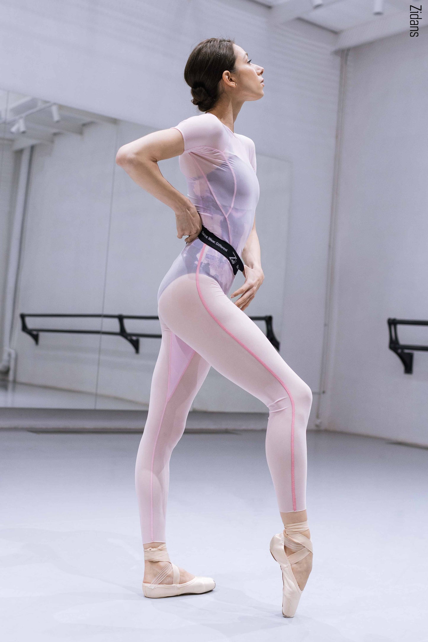 Translucent Ziphirus leggings | pink